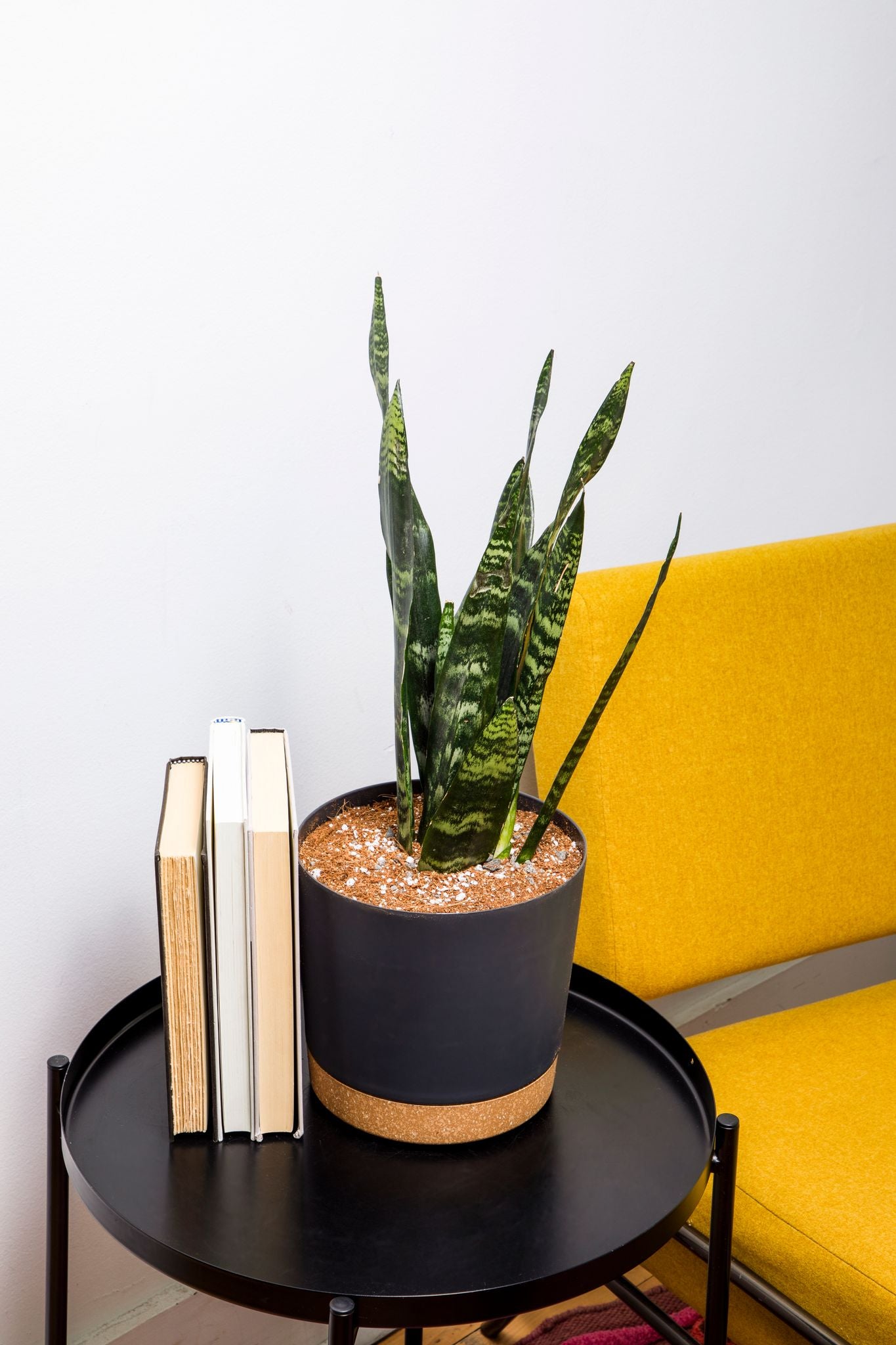 The Contemporary Collection - Indoor Planters