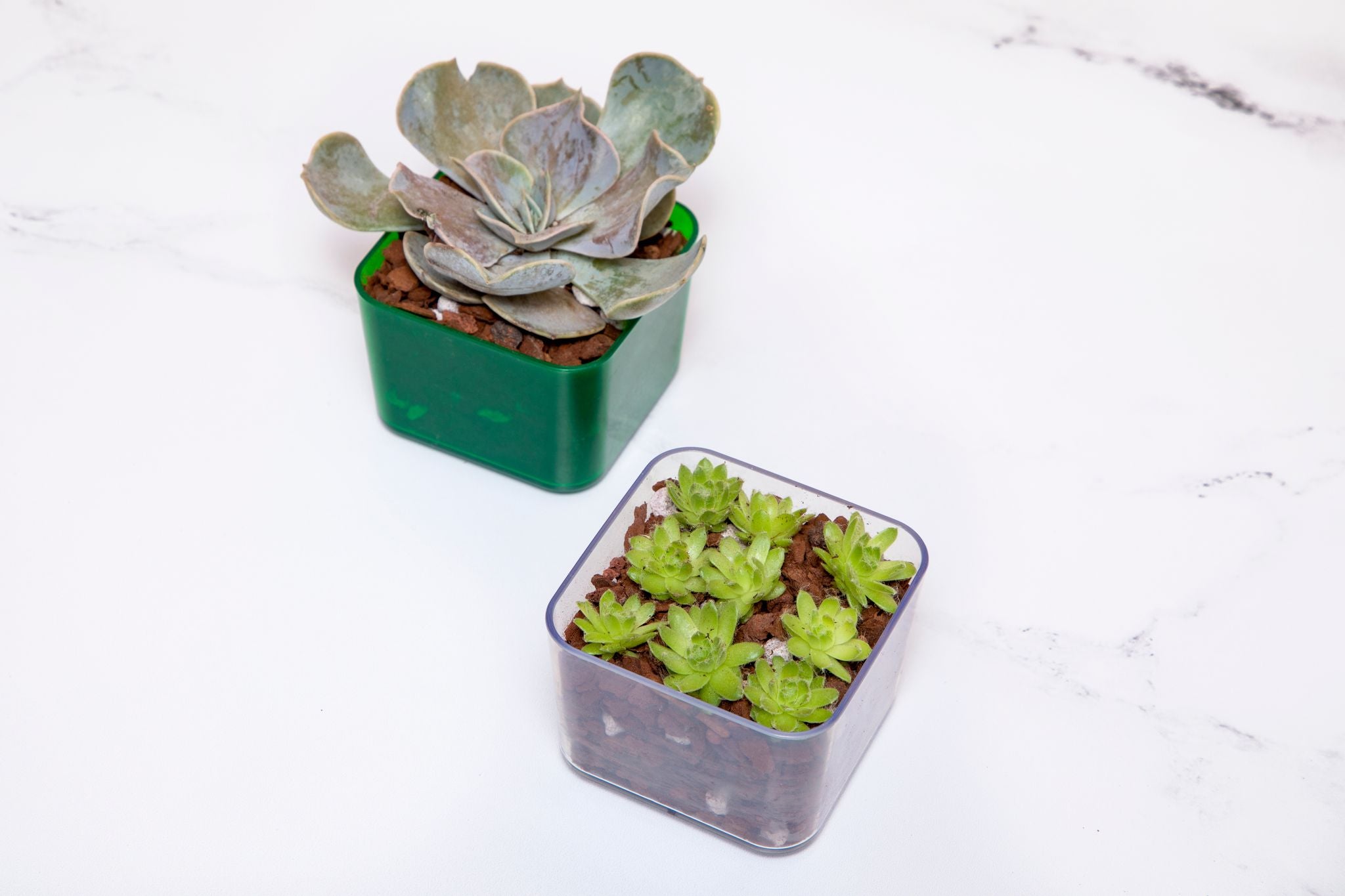 Plastic Succulent Pots