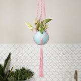 Macrame Hanger Self Watering Set - Rose Quartz + Ocean Blue