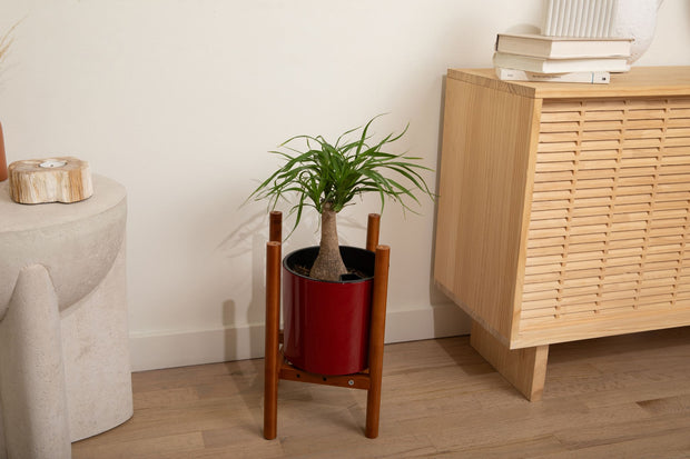 Prism Plant Stand