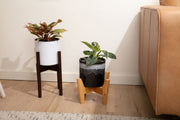 Infinity Plant Stand