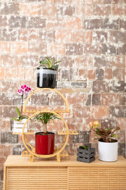 Lunette Plant Stand